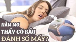 Nằm mơ thấy bầu – Cẩm nang dành cho người yêu thích lô đề